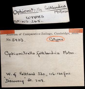 Media type: image;   Invertebrate Zoology OPH-5933 Aspect: labels
